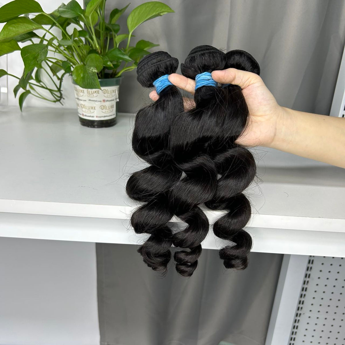 Top Raw Weft Thicker Drawn #1B